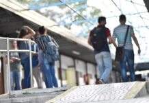 POSGRADO Docentes de la UNNE fueron seleccionados para prestigiosas becas internacionales