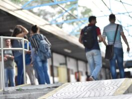 Docentes de la UNNE fueron seleccionados para prestigiosas becas internacionales