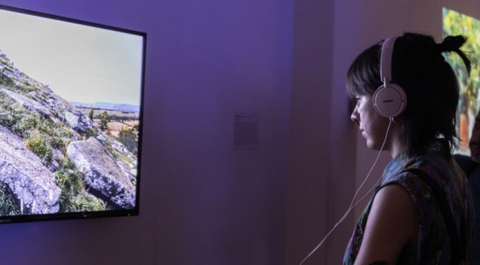 Abre la convocatoria a la 15va edición del Festival PLAY video arte y cine experimental