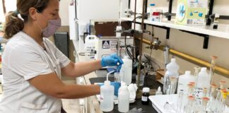 INNOVACIÓN Reprotector UV: CONICET ensaya filtro solar con repelente de mosquitos