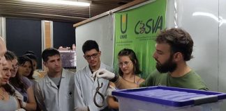 Cuidado y Concientización Pérdida de sus hábitats naturales, principal riesgo para la preservación de serpientes Conformado por profesionales de distintas disciplinas y estudiantes avanzados, el Centro Interactivo de Serpientes Venenosas de Argentinas (CISVA) funciona en la Facultad de Ciencias Veterinarias de la UNNE y es un espacio que trabaja en pos del conocimiento de las serpientes para su conservación.