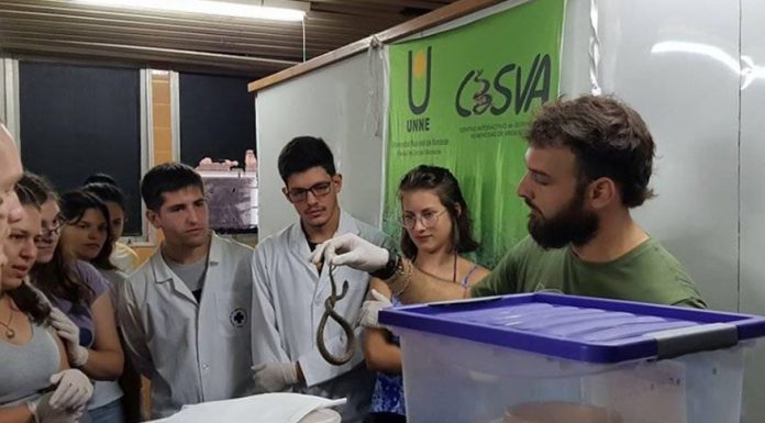 Cuidado y Concientización Pérdida de sus hábitats naturales, principal riesgo para la preservación de serpientes Conformado por profesionales de distintas disciplinas y estudiantes avanzados, el Centro Interactivo de Serpientes Venenosas de Argentinas (CISVA) funciona en la Facultad de Ciencias Veterinarias de la UNNE y es un espacio que trabaja en pos del conocimiento de las serpientes para su conservación.