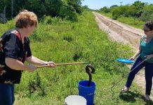 CATALINA MANCEDO, COORDINADORA DE EDUCACIÓN AMBIENTAL DEL CENTRO AGUARÁ «La mejor herramienta cuando aparece un animal silvestre es saber a quién acudir»