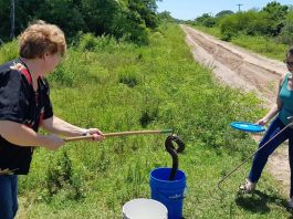 «La mejor herramienta cuando aparece un animal silvestre es saber a quién acudir»