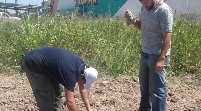 FACULTAD DE INGENIERIA Actualizan datos del “Mapa del Arsénico” de la provincia del Chaco