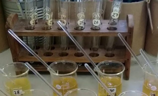 Agregado de valor La miel de la región NEA, con características definidas por su origen floral nativo Estudio revela que la miel de la región NEA se caracteriza por su origen floral nativo