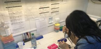 Microbiología Siguen de cerca a un virus causante de infecciones respiratorias en pacientes pediátricos Se han detectado nuevos virus que provocan Insuficiencia Respiratoria Aguda