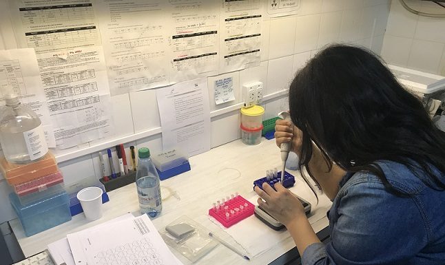 Microbiología Siguen de cerca a un virus causante de infecciones respiratorias en pacientes pediátricos Se han detectado nuevos virus que provocan Insuficiencia Respiratoria Aguda