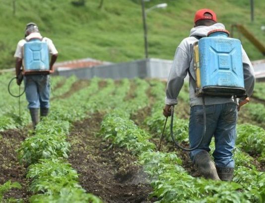 Encuentran indicios de daño genético por exposición a agroquímicos