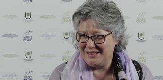 «Más de 40 universidades cuentan, hoy, con un protocolo ante situaciones de violencia»