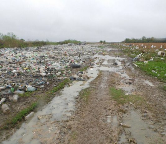 Diseñan plan de gestión de residuos para la región cercana al Iberá Investigadores de de la UNNE, en conjunto con el Ministerio de Turismo de Corrientes, elaboraron un plan de gestión de residuos para la región de “Solar de las Huellas” que comprende siete municipios en la zona de Iberá.