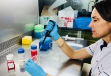 MARTA COHEN, PATÓLOGA ARGENTINA Médica explicó que la vacuna contra el cáncer que podría ver la luz en 2030 «será una atención personalizada» Evalúan el efecto anticancerígeno de las moléculas bioactivas de la yerba mate