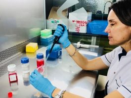 Médica explicó que la vacuna contra el cáncer que podría ver la luz en 2030 «será una atención personalizada» Evalúan el efecto anticancerígeno de las moléculas bioactivas de la yerba mate