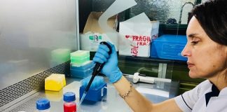 MARTA COHEN, PATÓLOGA ARGENTINA Médica explicó que la vacuna contra el cáncer que podría ver la luz en 2030 «será una atención personalizada» Evalúan el efecto anticancerígeno de las moléculas bioactivas de la yerba mate