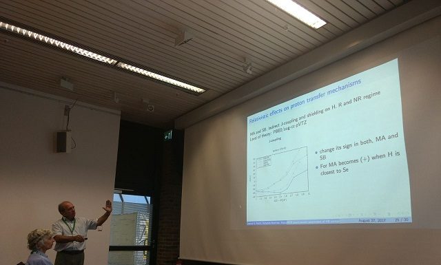 Resonancia Magnética Nuclear Científicos del IMIT presentaron en Alemania teoría de gran impacto en el estudio molecular Investigadores del IMIT desarrollaron una teoría de gran impacto en el área de la Resonancia Magnética