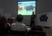 Cuidar el ambiente y mejorar producción Con manejo de pasturas, Corrientes podría pasar de una ganadería deficiente a ser motor de desarrollo Consideran que Corrientes podría aplicar una política de manejo racional de pasturas.