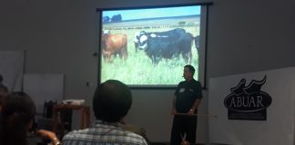 Cuidar el ambiente y mejorar producción Con manejo de pasturas, Corrientes podría pasar de una ganadería deficiente a ser motor de desarrollo Consideran que Corrientes podría aplicar una política de manejo racional de pasturas.