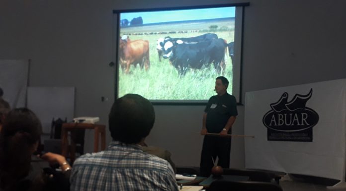 Cuidar el ambiente y mejorar producción Con manejo de pasturas, Corrientes podría pasar de una ganadería deficiente a ser motor de desarrollo Consideran que Corrientes podría aplicar una política de manejo racional de pasturas.
