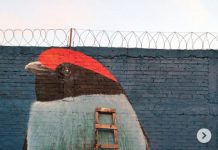 “Creo escenarios que convivan con la gente y sean parte de un nuevo paisaje”