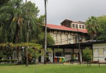 Pandemia Se registró un caso positivo de COVID-19 en la Facultad de Ciencias Agrarias