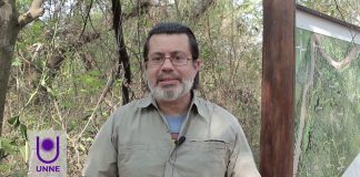 Incendio en Parque San Cayetano: el fuego se llevó el 90% de la reserva y 30 años de investigación