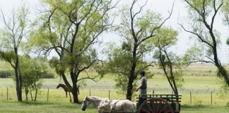 Dictarán un curso sobre producción y turismo en la ruralidad a partir de experiencias en países sudamericanos