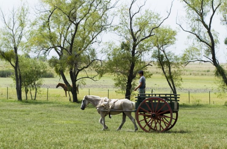 Dictarán un curso sobre producción y turismo en la ruralidad a partir de experiencias en países sudamericanos