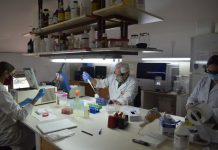 Ciencia y Técnica Investigadores de la UNNE explican cómo se analizan las muestras de COVID-19 Investigadores del Instituto de Medicina Regional