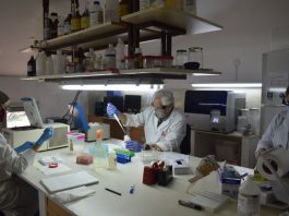 Investigadores de la UNNE explican cómo se analizan las muestras de COVID-19 Investigadores del Instituto de Medicina Regional