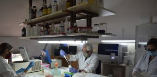 Ciencia y Técnica Investigadores de la UNNE explican cómo se analizan las muestras de COVID-19 Investigadores del Instituto de Medicina Regional