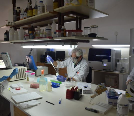 Investigadores de la UNNE explican cómo se analizan las muestras de COVID-19 Investigadores del Instituto de Medicina Regional