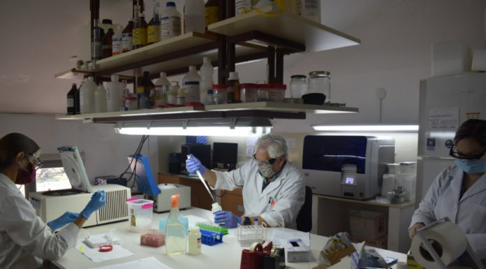 Ciencia y Técnica Investigadores de la UNNE explican cómo se analizan las muestras de COVID-19 Investigadores del Instituto de Medicina Regional