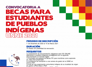 Inscripción online Se lanzó la convocatoria a Becas Programa Pueblos Indígenas 2021 Flyer informativo Becas PPI UNNE
