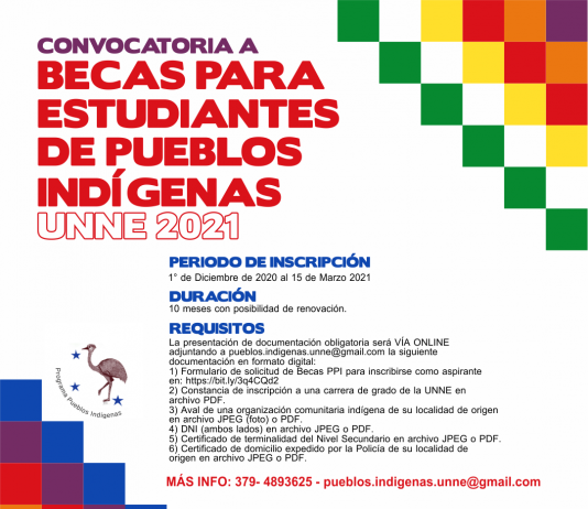 Se lanzó la convocatoria a Becas Programa Pueblos Indígenas 2021 Flyer informativo Becas PPI UNNE