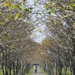 Vista de un camino del Campus UNNE