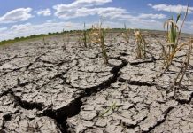 HUGO ROHRMANN, INGENIERO EN RECURSOS HÍDRICOS «Octubre y noviembre indicaron pocas lluvias y da la impresión de que es el panorama que va a seguir