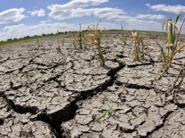 «Octubre y noviembre indicaron pocas lluvias y da la impresión de que es el panorama que va a seguir
