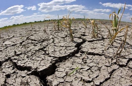 «Octubre y noviembre indicaron pocas lluvias y da la impresión de que es el panorama que va a seguir