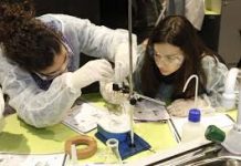 CONVOCATORIA 2020 Asignan 128 becas a jóvenes investigadores de la UNNE La UNNE otorgó 128 becas a jóvenes investigadores