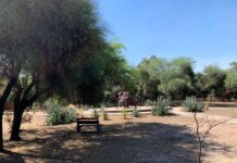 TRABAJO FINAL DE CARRERA Elaboran propuesta arquitectónica para la refuncionalización de la reserva de meteoritos “Campo del Cielo” Trabajo de estudiantes para fortalecer el desarrollo de la reserva Campo del Cielo