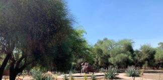 TRABAJO FINAL DE CARRERA Elaboran propuesta arquitectónica para la refuncionalización de la reserva de meteoritos “Campo del Cielo” Trabajo de estudiantes para fortalecer el desarrollo de la reserva Campo del Cielo