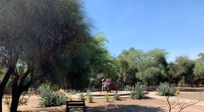TRABAJO FINAL DE CARRERA Elaboran propuesta arquitectónica para la refuncionalización de la reserva de meteoritos “Campo del Cielo” Trabajo de estudiantes para fortalecer el desarrollo de la reserva Campo del Cielo