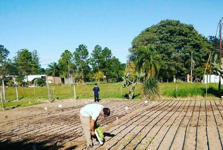 Compost, una forma de recuperar suelos degradados y aprovechar residuos orgánicos El compost es una enmienda orgánica utilizada para mejorar las propiedades de los suelos por la incorporación de materia orgánica, nutrientes y actividad biológica.