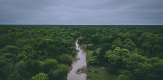 EN EL DÍA DE LA VINCULACIÓN Presentan los proyectos estratégicos de la UNNE para el Impenetrable Chaqueño