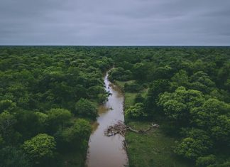 EN EL DÍA DE LA VINCULACIÓN Presentan los proyectos estratégicos de la UNNE para el Impenetrable Chaqueño