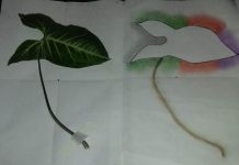 Taller de dibujo y pintura en línea El arte en los adultos mayores: un espacio de contención y creatividad en tiempos de pandemia