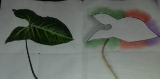 Taller de dibujo y pintura en línea El arte en los adultos mayores: un espacio de contención y creatividad en tiempos de pandemia