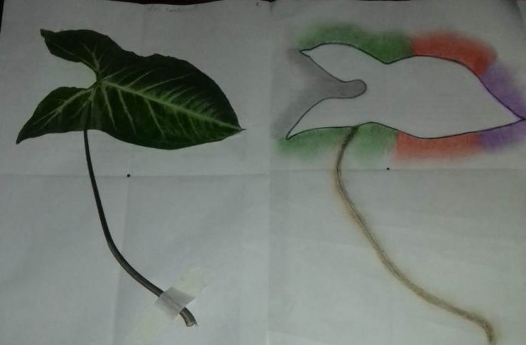 El arte en los adultos mayores: un espacio de contención y creatividad en tiempos de pandemia