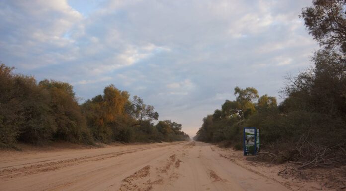 PROPUESTA DE CENTRO DE SERVICIOS Proyecto de la UNNE busca aportar al desarrollo territorial del hábitat rural de “El Impenetrable” La región de El Impenetrable requiere propuestas para optimizar su desarrollo territorial.
