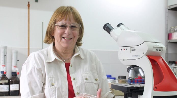 Ciencia equitativa e inclusiva “El mayor desafío es con una misma, en romper barreras sociales y animarnos” Ing María Cándida Iglesias